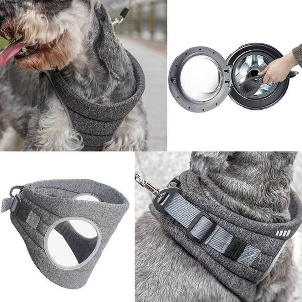 breathable dog harness leash set adjustable puppy cat vest nude feeling pet chest strap leash lead for french bulldog chihuahua 1020
breathable dog harness leash set adjustable puppy cat vest nude feeling pet chest strap leash lead for french bulldog chihuahua 1020