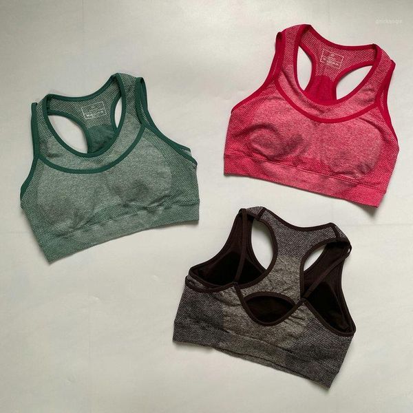 gym clothing vital rise seamless sport bra women fitness cropped padded push up double layer brassiere workout active wear1, White;black
gym clothing vital rise seamless sport bra women fitness cropped padded push up double layer brassiere workout active wear1, White;black