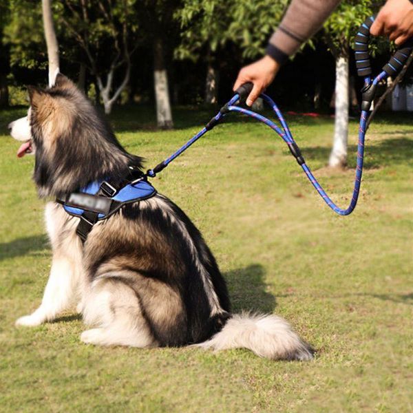 dog collars & leashes leads traction rope belt reflective design nylon material round double flower stripe handle for medium large pet
dog collars & leashes leads traction rope belt reflective design nylon material round double flower stripe handle for medium large pet
