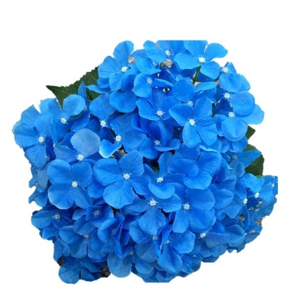 artificial flowers silk hydrangea for festival decoration commercial decoration wedding ais bbyopz bde_luck
artificial flowers silk hydrangea for festival decoration commercial decoration wedding ais bbyopz bde_luck