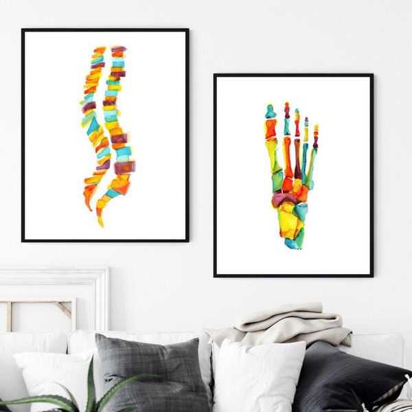 watercolor bones of the foot poster human anatomy spine column poster and print canvas painting hd wall art for room home decor
watercolor bones of the foot poster human anatomy spine column poster and print canvas painting hd wall art for room home decor