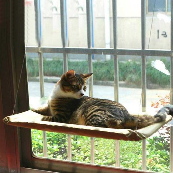 cat sucker cat bed hammock hanging pet window sill single layer sleeping bag window perch hammock breathable bed1
cat sucker cat bed hammock hanging pet window sill single layer sleeping bag window perch hammock breathable bed1