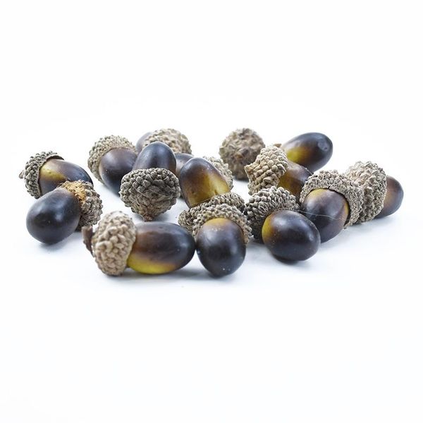 20 шт. 3 см пены сосны шишки мини искусственные поддельные фрукты и овощи ягод цветы свадебные елочные елки свадьба домашний декор bbyusn
20 шт. 3 см пены сосны шишки мини искусственные поддельные фрукты и овощи ягод цветы свадебные елочные елки свадьба домашний декор bbyusn