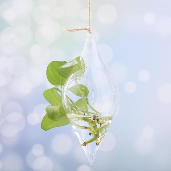 transparent glass bottle succulent vase double tip hydroponic flower plant micro landscape ecological wholesale hanging vase1
transparent glass bottle succulent vase double tip hydroponic flower plant micro landscape ecological wholesale hanging vase1