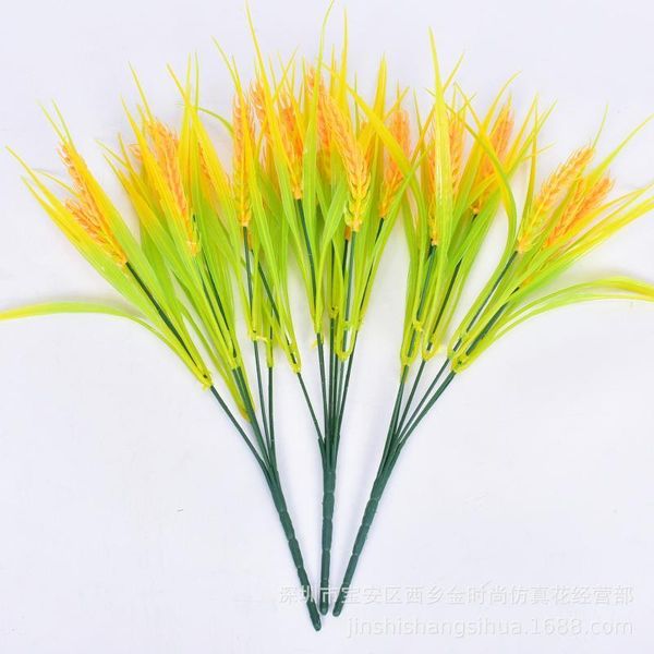 decorative flowers & wreaths model ear of rice plastic fake original ecological artificial unhusked small wheat plus lamp outdoor flower1
decorative flowers & wreaths model ear of rice plastic fake original ecological artificial unhusked small wheat plus lamp outdoor flower1