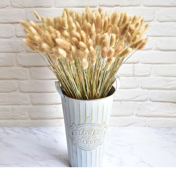 30pcs/lot gradient lagurus ovatus natural dried flowers bouquet wedding home easter decorations rabbit tail grass real jllcrx
30pcs/lot gradient lagurus ovatus natural dried flowers bouquet wedding home easter decorations rabbit tail grass real jllcrx