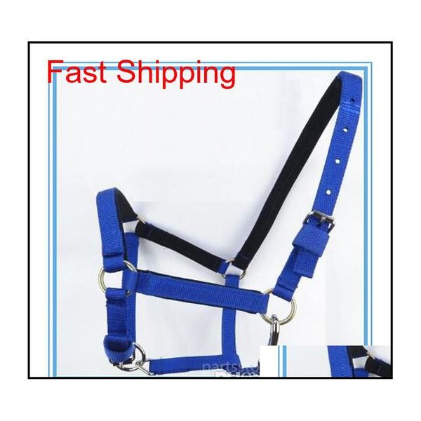 adjustable horse halter bridle pony fixed rein belt durable horse riding accessories eq qylxdb bde_luck
adjustable horse halter bridle pony fixed rein belt durable horse riding accessories eq qylxdb bde_luck