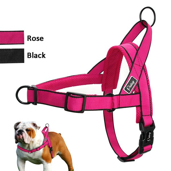 main import commodities: zipperless nylon belt for pet large medium sized dog filled mesh vest adjustable pink black sizes m and
main import commodities: zipperless nylon belt for pet large medium sized dog filled mesh vest adjustable pink black sizes m and