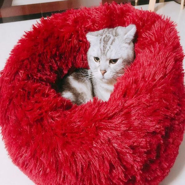 cat cave house теплый pet bed bed pet dog house мягкая домашняя собака подушка кошка кровать дома мягкая кошка кровать коврик chihuahua wmtf
cat cave house теплый pet bed bed pet dog house мягкая домашняя собака подушка кошка кровать дома мягкая кошка кровать коврик chihuahua wmtf