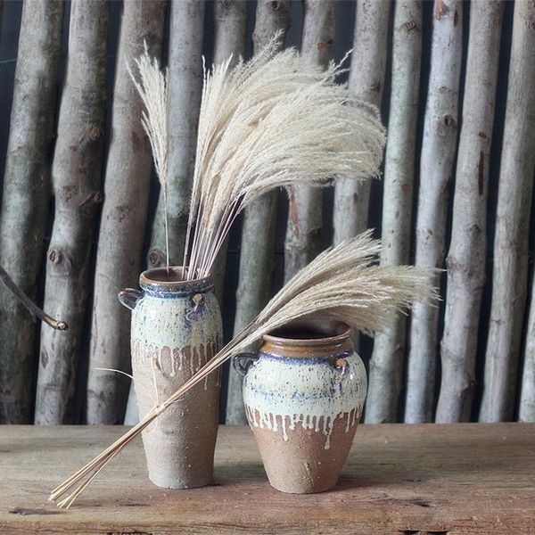 pampas grass wedding flower bunch natural plants decor home decor dried flowers artificial flowers christmas decorations
pampas grass wedding flower bunch natural plants decor home decor dried flowers artificial flowers christmas decorations