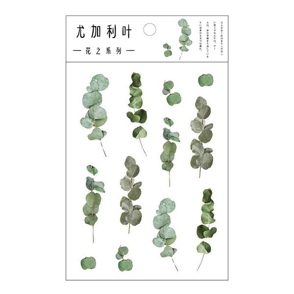12 designs natural daisy clover japanese words stickers transparent pet material flowers leaves plants deco sticker aesthetic wmtlra
12 designs natural daisy clover japanese words stickers transparent pet material flowers leaves plants deco sticker aesthetic wmtlra