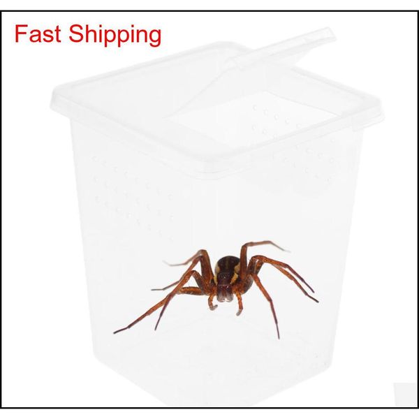 10x clear plastic insect habitat feeding box cas qyljmg hairclippersshop
10x clear plastic insect habitat feeding box cas qyljmg hairclippersshop