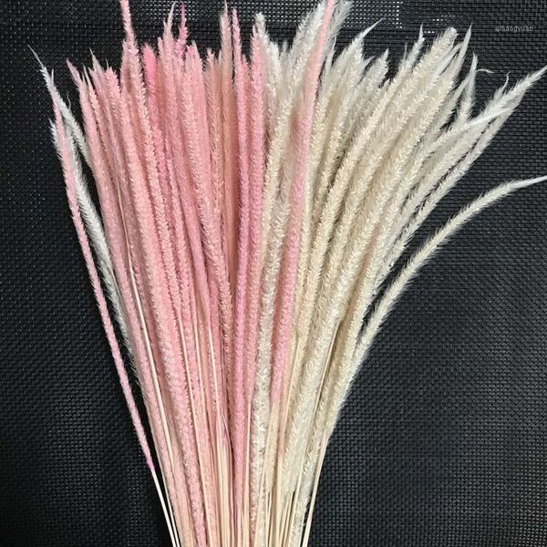 60pcs/35-40cm dried natural flowers eternelle hypericum japonicum branch,dry goldenrod small pampas grass for home decor1
60pcs/35-40cm dried natural flowers eternelle hypericum japonicum branch,dry goldenrod small pampas grass for home decor1