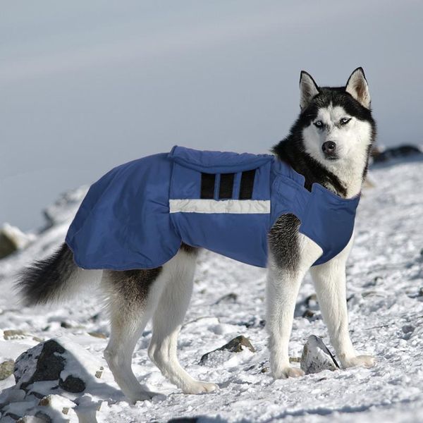 waterproof dog winter coat warm big dog jacket vest pet clothes for medium large dogs husky labrador outfit pets clothi jllglw
waterproof dog winter coat warm big dog jacket vest pet clothes for medium large dogs husky labrador outfit pets clothi jllglw
