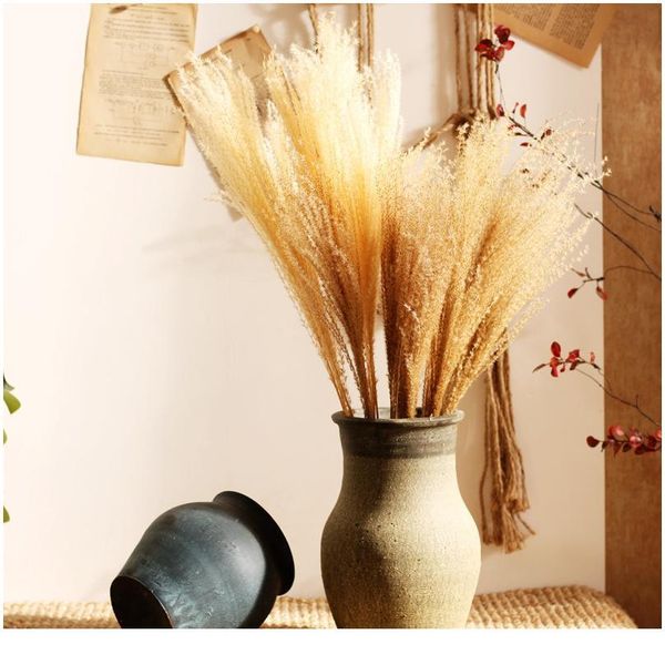 natural dried pampas grass phragmites communis for wedding artificial flower bunch home decor diy craft dry flowers de jllord
natural dried pampas grass phragmites communis for wedding artificial flower bunch home decor diy craft dry flowers de jllord