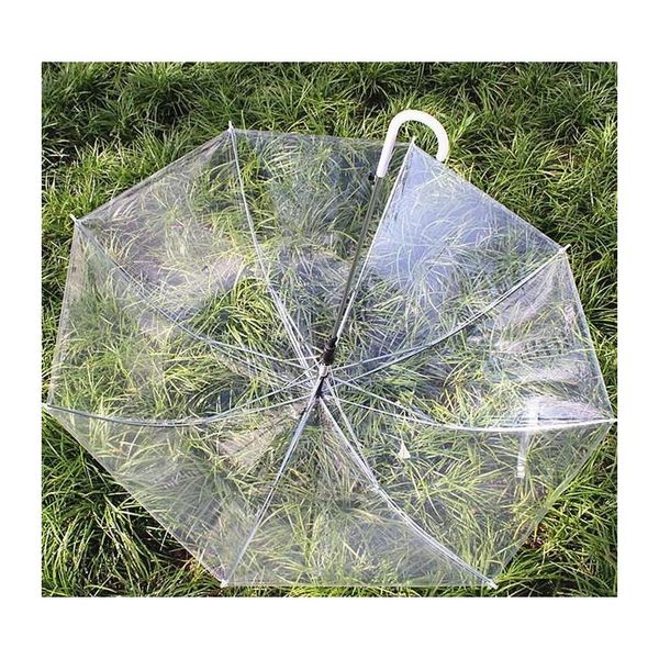 selling transparent clear evc umbrella long handle rain sun umbrella see through colorful umbrella rainpro wmtknf lyqlove
selling transparent clear evc umbrella long handle rain sun umbrella see through colorful umbrella rainpro wmtknf lyqlove