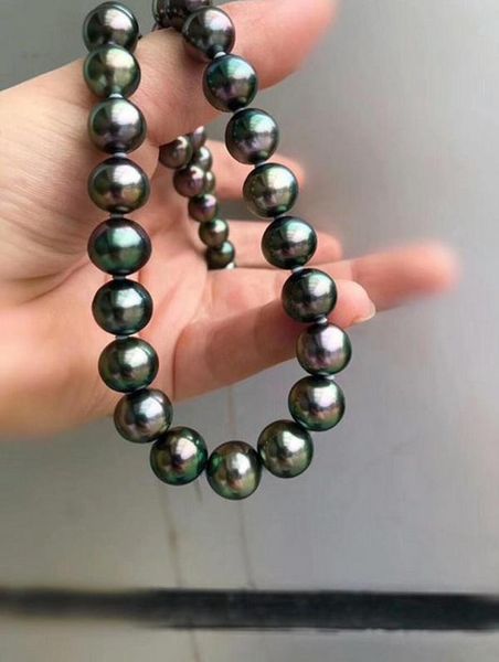 огромный 10-11mm круглый южного моря genuine черный зеленый жемчужным ожерельем 18" 925silver золото, Silver
огромный 10-11mm круглый южного моря genuine черный зеленый жемчужным ожерельем 18" 925silver золото, Silver