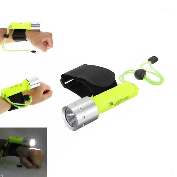 underwater 15m 1200lumens t6 diving scuba 18650 battery rescuing torch searching dive flash light1
underwater 15m 1200lumens t6 diving scuba 18650 battery rescuing torch searching dive flash light1