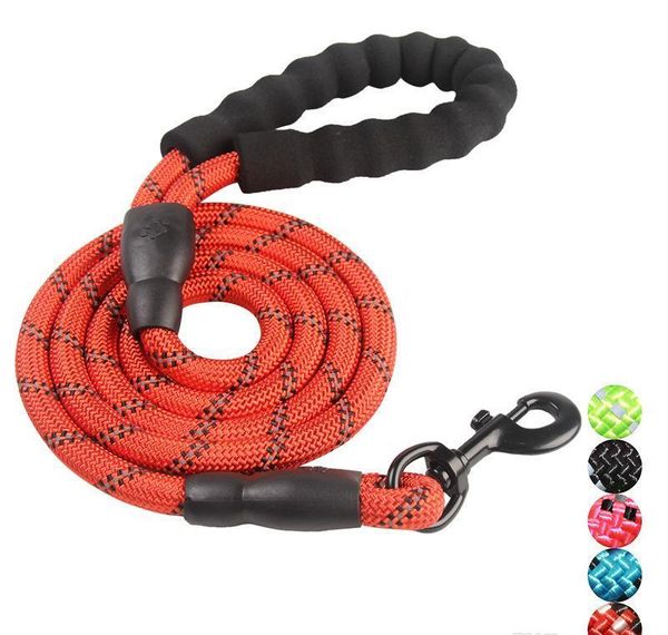 5 ft strong dog rope leash lead training padded handle reflective threaded nylon for mediu bbyauz cxj_love
5 ft strong dog rope leash lead training padded handle reflective threaded nylon for mediu bbyauz cxj_love