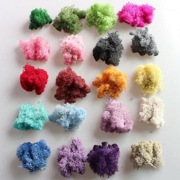 decorative flowers & wreaths 10g/lot sphagnum mosses dry natural fresh moss,real eternal dried grass,diy preserved accessories1
decorative flowers & wreaths 10g/lot sphagnum mosses dry natural fresh moss,real eternal dried grass,diy preserved accessories1