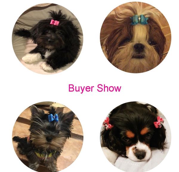 grooming dog dogs bow with headwear puppy pet bowknot for handmade accessories bands new cute rubber cute pet 10pcs/lot loverly sqctf
grooming dog dogs bow with headwear puppy pet bowknot for handmade accessories bands new cute rubber cute pet 10pcs/lot loverly sqctf
