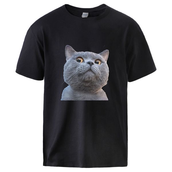 cute cats print summer short sleeve casual loose fashion streetwear hip hop tees new arrival sport hooded sweatshirt hoodie men t shirt
cute cats print summer short sleeve casual loose fashion streetwear hip hop tees new arrival sport hooded sweatshirt hoodie men t shirt