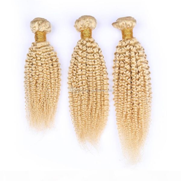 selling brazilian blonde color human hair bundles 3pcs lightest blonde funmi hair weave afro curly hair extensions double wefted, Black
selling brazilian blonde color human hair bundles 3pcs lightest blonde funmi hair weave afro curly hair extensions double wefted, Black