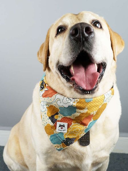pet dog saliva scarf triangle scarf cute cartoon bib big dog medium and large dog labrador husky bib, Blue;gray
pet dog saliva scarf triangle scarf cute cartoon bib big dog medium and large dog labrador husky bib, Blue;gray