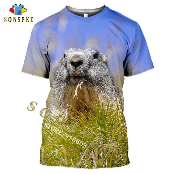 summer hunting animal gopher clothing 3d print shirts harajuku hentai plus size men clothing
summer hunting animal gopher clothing 3d print shirts harajuku hentai plus size men clothing