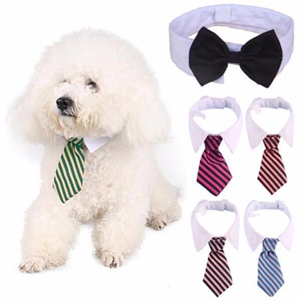grooming cat striped bow pet adjustable neck tie white collar dog necktie party wedding gravata cachorro
grooming cat striped bow pet adjustable neck tie white collar dog necktie party wedding gravata cachorro