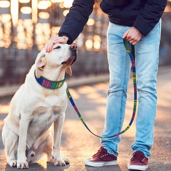 soft nylon dog collar and leash set reflective padded dog collar fashion printed adjustable pet collars for medium la wmtjxu
soft nylon dog collar and leash set reflective padded dog collar fashion printed adjustable pet collars for medium la wmtjxu