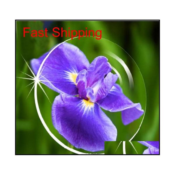 filling optical resin/glass prescription lenses reading myopia hyperopia presbyopia aspherical eyegla qylheb bdehome
filling optical resin/glass prescription lenses reading myopia hyperopia presbyopia aspherical eyegla qylheb bdehome