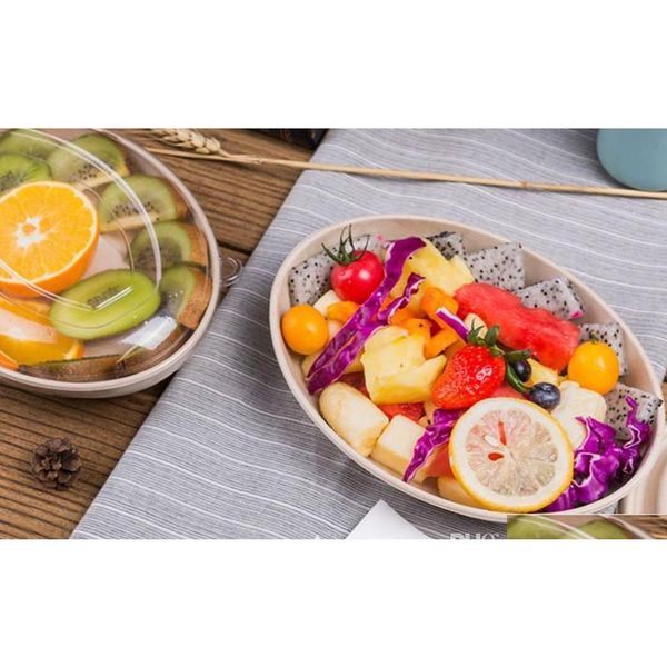 wheatstraw disposable take out container bpa plates dishwasher microwave safe plate for fruit snack salad shipping abpnx
wheatstraw disposable take out container bpa plates dishwasher microwave safe plate for fruit snack salad shipping abpnx