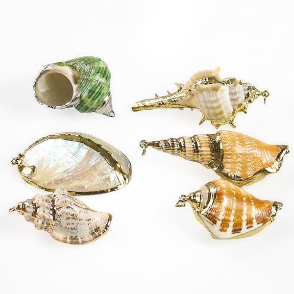 5pcs natural conch seashell ornaments for pendant shells charms necklace pendant diy shells for jewelry making accessories h sqctex 
5pcs natural conch seashell ornaments for pendant shells charms necklace pendant diy shells for jewelry making accessories h sqctex
