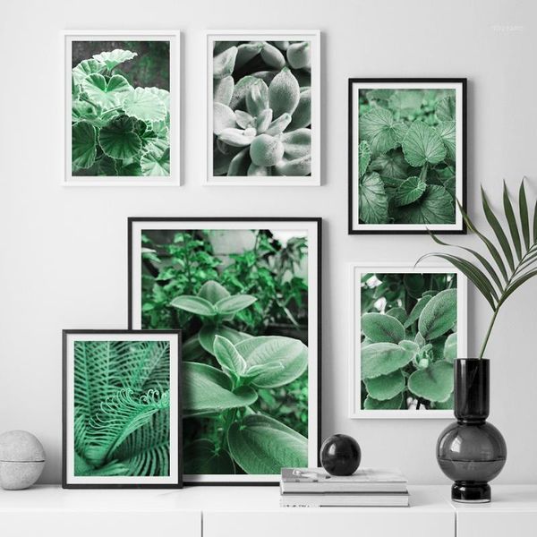 paintings tropical plant wall art canvas painting nordic poster and print watercolor pictures for living room bed home decor1
paintings tropical plant wall art canvas painting nordic poster and print watercolor pictures for living room bed home decor1