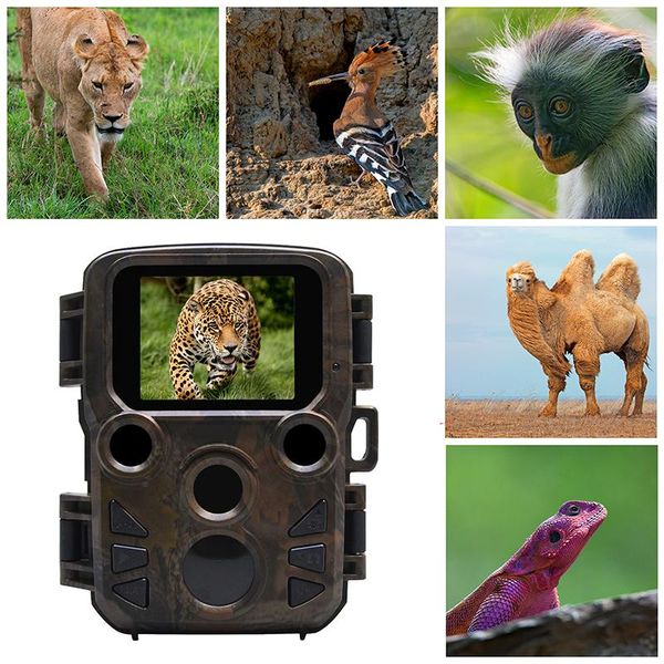 hunting camera 12mp 1080p ir nightvision trail 2g gsm mms sms waterproof mini300 hunting cameras
hunting camera 12mp 1080p ir nightvision trail 2g gsm mms sms waterproof mini300 hunting cameras