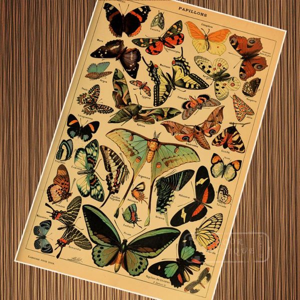 vintage butterfly species encyclopedias illustration retro poster canvas painting diy wall paper posters home decor gift
vintage butterfly species encyclopedias illustration retro poster canvas painting diy wall paper posters home decor gift