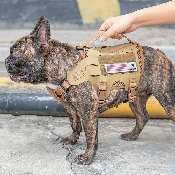 2021 cross-border special for pet outdoor supplies foreign trade source factory hainpalon nylon tactical dog dog strip
2021 cross-border special for pet outdoor supplies foreign trade source factory hainpalon nylon tactical dog dog strip