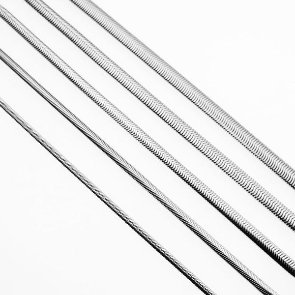 chains 316l stainless steel flat snake chain necklace for men & women fashion jewelry accessories, Silver
chains 316l stainless steel flat snake chain necklace for men & women fashion jewelry accessories, Silver