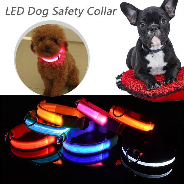 dog pet collar flashing usb rechargable led safety light up led pet collar nylon strap neck belt for small large dog #151
dog pet collar flashing usb rechargable led safety light up led pet collar nylon strap neck belt for small large dog #151