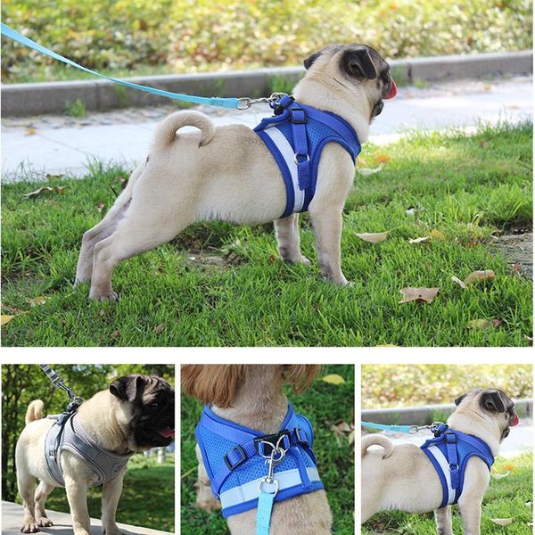 pet dog cat harness поводок регулируемый светоотражающий жилет walking lead puppy полиэфирной сетки harness набор для малого среднего ошейни
pet dog cat harness поводок регулируемый светоотражающий жилет walking lead puppy полиэфирной сетки harness набор для малого среднего ошейни