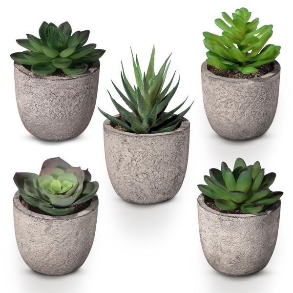 homemaxs artificial succulent plants set of 5 potted fake succulents mini realistic desk plants for home bathroom window office
homemaxs artificial succulent plants set of 5 potted fake succulents mini realistic desk plants for home bathroom window office
