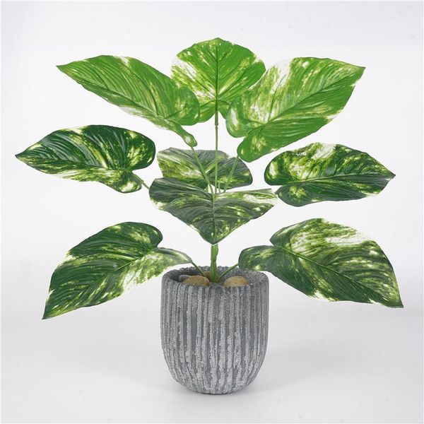 decorative flowers & wreaths display artificial plant 2 colors evergreen leaf realistic simulation tree leaves greenery1
decorative flowers & wreaths display artificial plant 2 colors evergreen leaf realistic simulation tree leaves greenery1