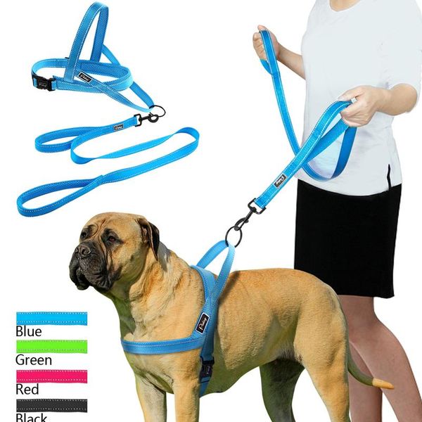 no pull reflective dog harness leash set pet vest lead for small meduim large dogs perfect for daily training walki bbyxxx
no pull reflective dog harness leash set pet vest lead for small meduim large dogs perfect for daily training walki bbyxxx
