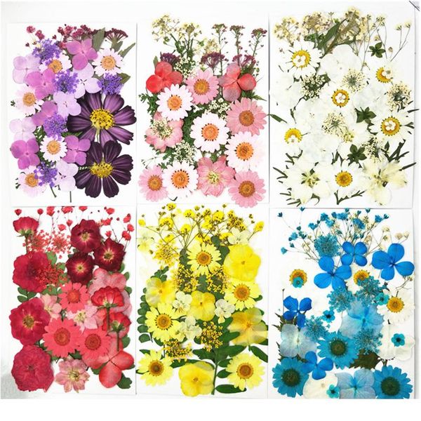 pipifren pressed flowers small dried flowers scrapbooking dry diy preserved flower decoration home mini bloemen flor bbypgj
pipifren pressed flowers small dried flowers scrapbooking dry diy preserved flower decoration home mini bloemen flor bbypgj
