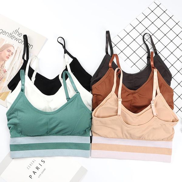 gym clothing sport bra women stripe underwear running yoga fitness seamless sports vest push up sujetador deportivo, White;black
gym clothing sport bra women stripe underwear running yoga fitness seamless sports vest push up sujetador deportivo, White;black