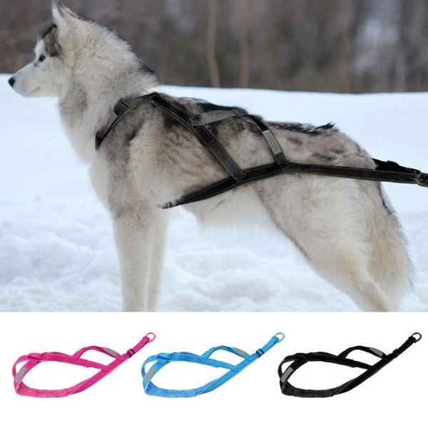 dog collars & leashes reflective sled harness winter warm sledding large strength weighting training strap for skijoring scootering k9
dog collars & leashes reflective sled harness winter warm sledding large strength weighting training strap for skijoring scootering k9
