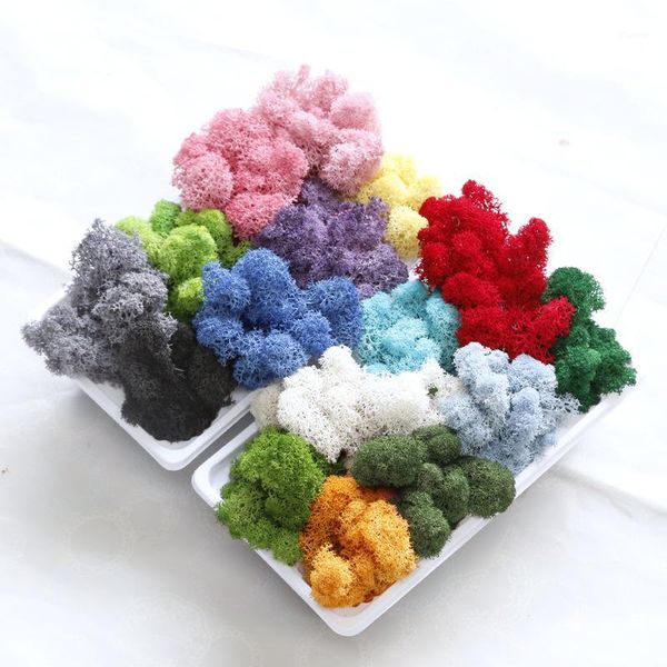 20g artificial green plant immortal fake flower moss grass wedding home living room decorative wall diy flower mini accessories1
20g artificial green plant immortal fake flower moss grass wedding home living room decorative wall diy flower mini accessories1