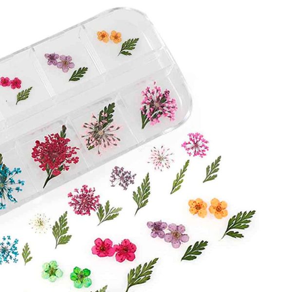 decorative flowers & wreaths real dried ammi majus five-petal flower leaf dry plants for epoxy resin pendant necklace jewelry making craft d
decorative flowers & wreaths real dried ammi majus five-petal flower leaf dry plants for epoxy resin pendant necklace jewelry making craft d