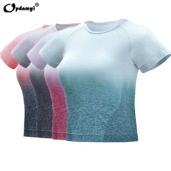 gradient yoga short sleeve women's sportswear breathable seamless gym workout running clothing girl fitness cropped tshirts kg-512, White;red
gradient yoga short sleeve women's sportswear breathable seamless gym workout running clothing girl fitness cropped tshirts kg-512, White;red